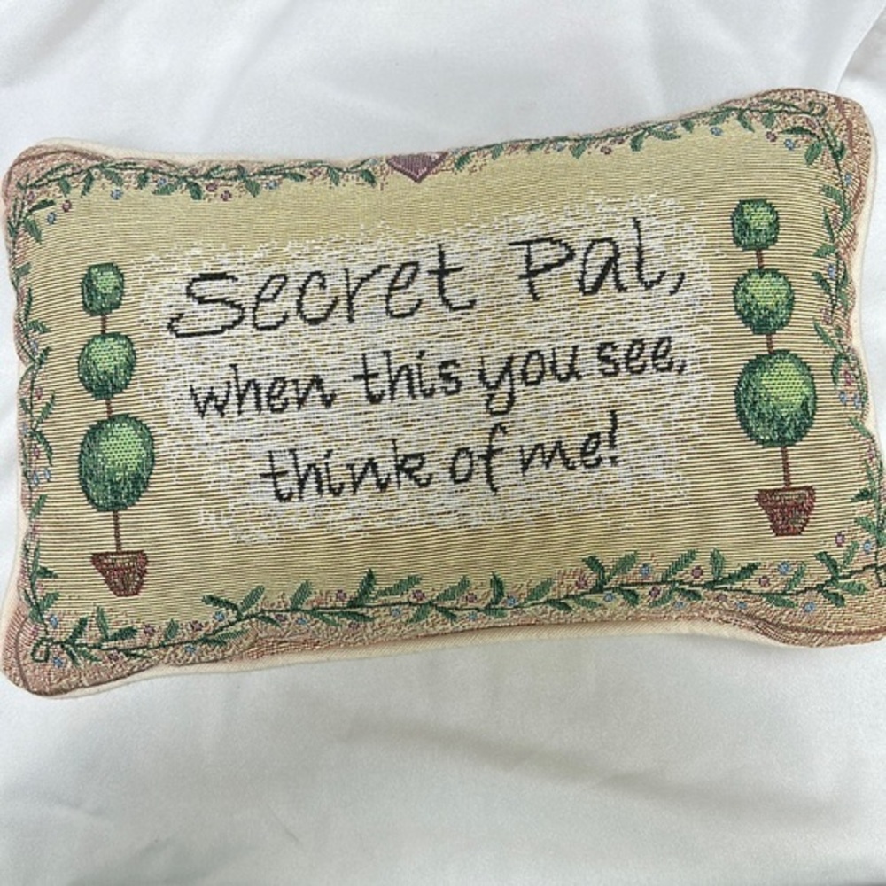 Secret Pal Decorative Pillow